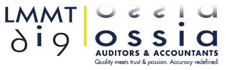 LMMT Auditors logo by Lubabalo Mpepanduku