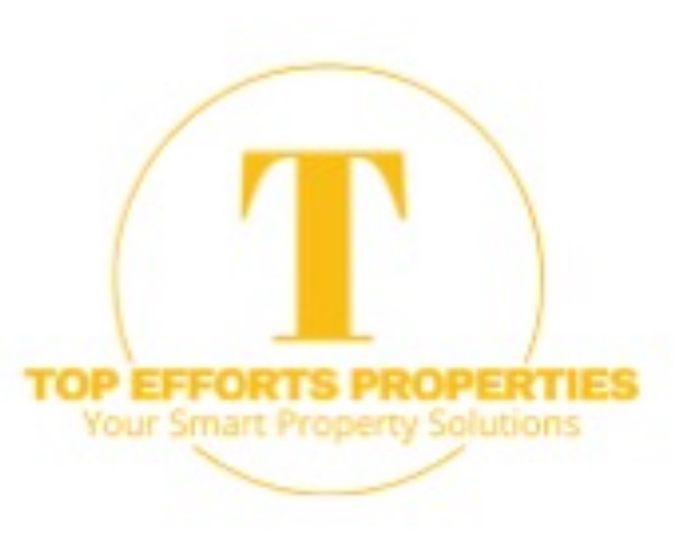 Top Efforts Properties logo by Tshepo Phala
